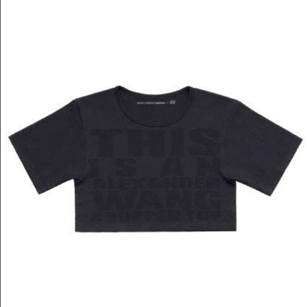 NWT H&M x Alexander Wang Crop Top